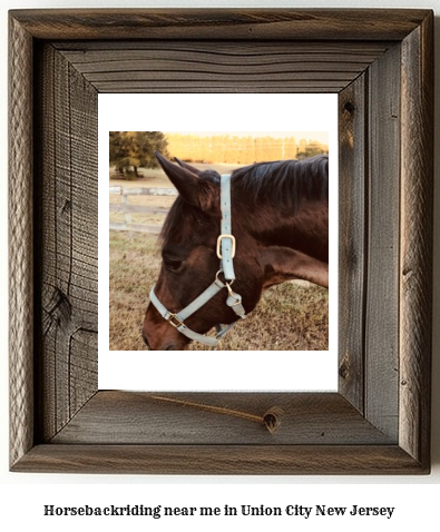 horseback riding near me in Union City, New Jersey